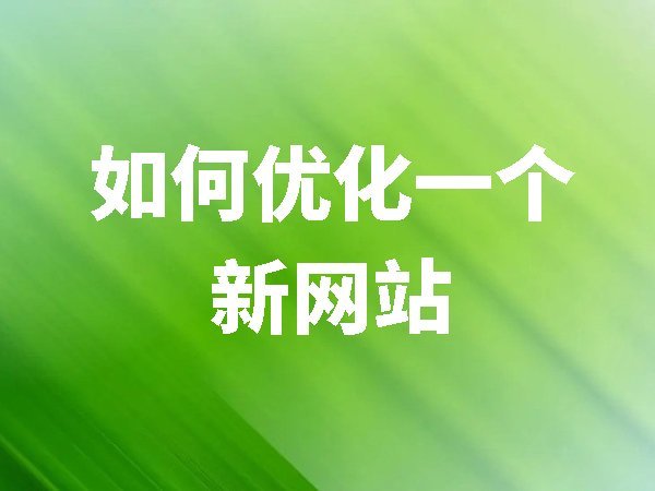 如何優(yōu)化一個新網(wǎng)站