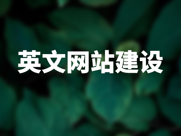 英文網(wǎng)站建設(shè)